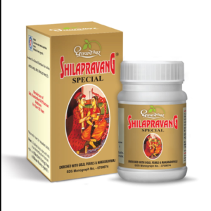 Shilapravang Special Ayurvedic Stamina & Vitality Tablets